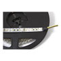 Synergy21 Synergy 21 LED Flex Strip 3528 - 120 DW (CCT) DC12V 48W Blanco cálido