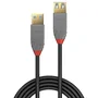 Lindy Cable de Extensión USB 3.2 Gen 1 USB A a USB A, 2 m, Negro