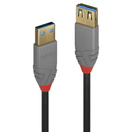 Lindy Cable de Extensión USB 3.2 Gen 1 USB A a USB A, 2 m, Negro
