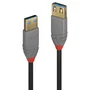 Lindy Cable de Extensión USB 3.2 Gen 1 USB A a USB A, 2 m, Negro