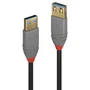 Lindy Cable de Extensión USB 3.2 Gen 1 de 2m Anthra Line Negro