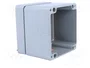 BOPLA EUROMAS Carcasa de Aluminio Universal IP66 100x100x81mm