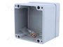 BOPLA EUROMAS Carcasa de Aluminio Universal IP66 100x100x81mm
