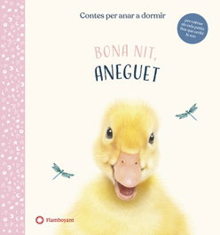 Bona nit, Aneguet, Amanda Wood - FLAMBOYANT