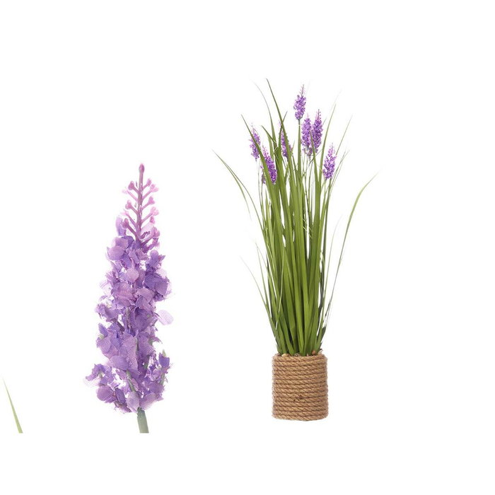 Planta Decorativa Ibergarden Cuerda Plástico Piedras 30 x 70 x 30 cm 30 x 69 x 30 cm (3 Unidades) Planta Decorativa Ibergarden Cuerda Plástico Piedras 30 x 70 x 30 cm 30 x 69 x 30 cm (3 Unidades)