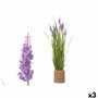 Planta Decorativa Ibergarden Cuerda Plástico Piedras 30 x 70 x 30 cm 30 x 69 x 30 cm (3 Unidades)