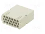 ILME MIXO Conector HDC Macho con Plantilla de Contacto de 17 Pines