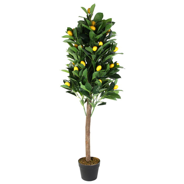 Home Deco Factory Planta Artificial Limón 120 cm - Árbol Decorativo en Maceta de PEVA y Madera Home Deco Factory Planta Artificial Limón 120 cm - Árbol Decorativo en Maceta de PEVA y Madera
