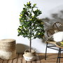Home Deco Factory Planta Artificial Limón 120 cm - Árbol Decorativo en Maceta de PEVA y Madera