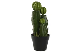 DKD Home Decor Planta Tropical Verde 18 x 47 x 19 cm (2 Unidades)
