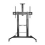 Aisens Soporte de Suelo ECO FT100TE-171 para TV de 60-100 pulgadas