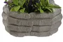 DKD Home Decor Planta Resina Manos Surtido de 2 Unidades
