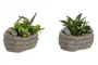 DKD Home Decor Planta Resina Manos Surtido de 2 Unidades