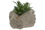 DKD Home Decor Planta Resina Manos Surtido de 2 Unidades