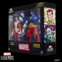 Hasbro Marvel Legends Pack de 2 Figuras Starfox & Champion of the Universe 15 cm