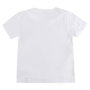 Cerdá Camiseta Corta Single Jersey Stitch 10 Años - Modelos surtidos
