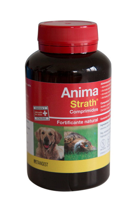 Stangest Anima Strath 240 Comp Bote Vet
