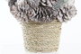 DKD Home Decor Centro de Mesa Piña Porexpan Blanco y Rojo