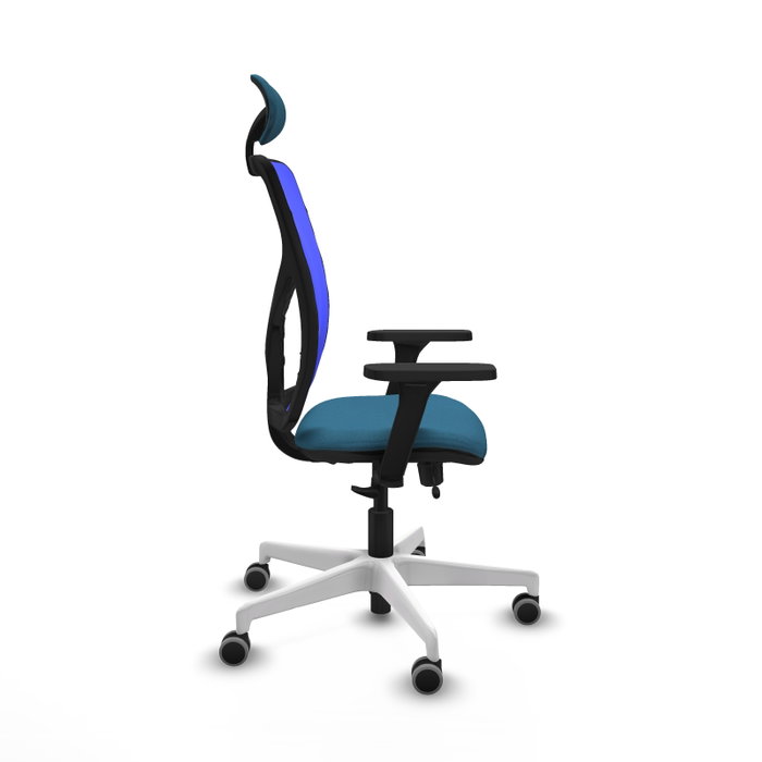 PIQUERAS Y CRESPO Silla de oficina Motilla Verde petróleo y Azul PIQUERAS Y CRESPO Silla de oficina Motilla Verde petróleo y Azul