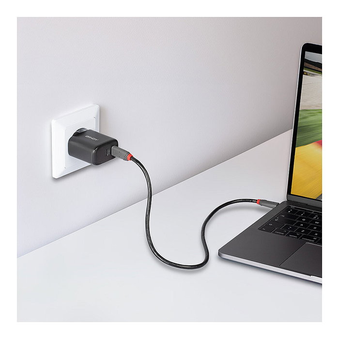 Lindy Cargador GaN 65W con 2 puertos USB-C, Negro