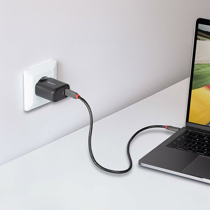 Lindy Cargador USB-C 2 puertos 65W con tecnología GaN, Negro