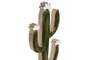 DKD Home Decor Set de 2 Cactus de Madera de Mango Lacado Verde