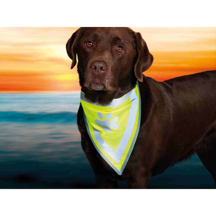 Bandana Reflectante para Mascotas Trixie Bandana Reflectante para Mascotas Trixie