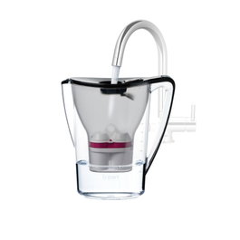BWT AQUAlizer Home Black con 2 cartuchos de magnesio