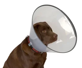Kruuse Collar Isabelino Comfort 7,5 cm (5 unidades) PAYOUT