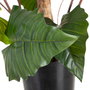 Planta Colocasia Verde Decoración 130 cm