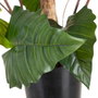 Ixia Planta Colocasia Verde Decoración 130 cm