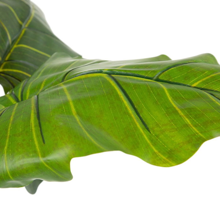 Ixia Planta Colocasia Verde Decoración 130 cm