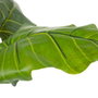 Ixia Planta Colocasia Verde Decoración 130 cm