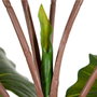 Ixia Planta Colocasia Verde Decoración 130 cm