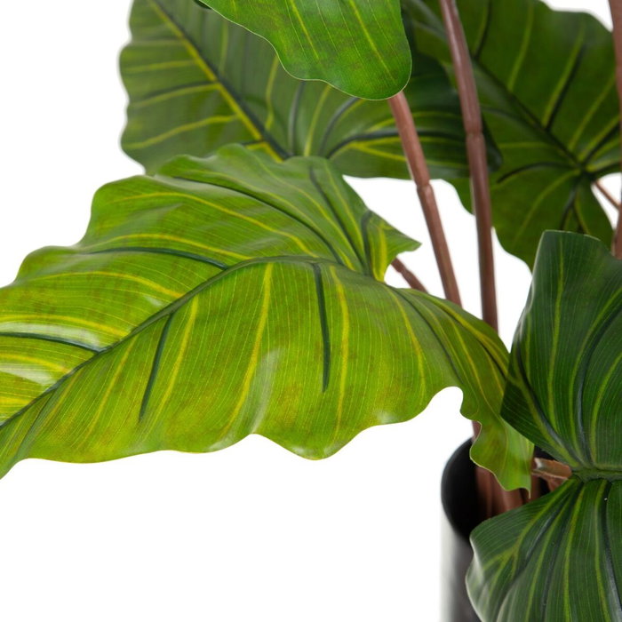 Ixia Planta Colocasia Verde Decoración 130 cm