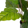 Ixia Planta Colocasia Verde Decoración 130 cm