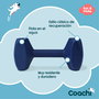 Juguete de adiestramiento Coachi TRAINING DUMBBELL Azul
