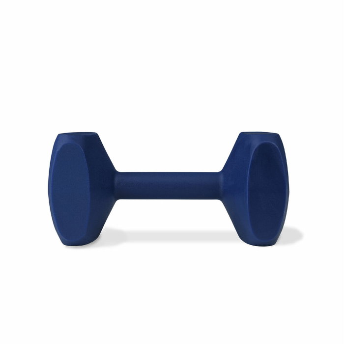 Juguete de adiestramiento Coachi TRAINING DUMBBELL Azul Juguete de adiestramiento Coachi TRAINING DUMBBELL Azul