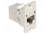 DeLOCK 67163 Módulo Keystone RJ-45 Hembra a Hembra Cat.6a Plata
