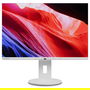 Lenovo C24d-20 Monitor 61cm/24" 1920x1200 WUXGA IPS 16:10 5ms 60Hz HDMI DVI VGA Gris Blanco