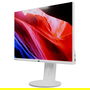 Lenovo C24d-20 Monitor 61cm/24" 1920x1200 WUXGA IPS 16:10 5ms 60Hz HDMI DVI VGA Gris Blanco