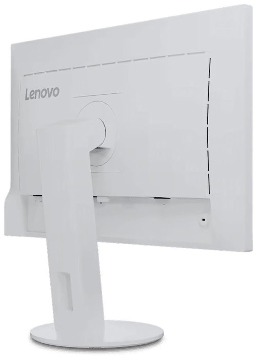 Lenovo ThinkVision C24d 24 pulg. IPS 1920 x 1200