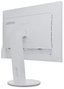 Lenovo ThinkVision C24d 24 pulg. IPS 1920 x 1200