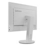 Lenovo Monitor 24" Full HD 1920x1200 IPS W-LED 16:10 7ms 300cd/m² 1000:1