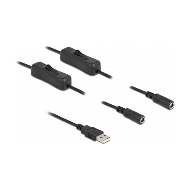 DeLOCK Cable USB Tipo-A a 2 x DC 5,5 x 2,1 mm hembra con interruptor, 1 m