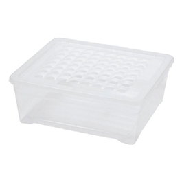 Curver Caja con tapa de 5,7 L - 340 x 190 x 120 mm