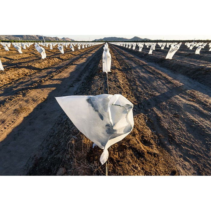 Biotop Capuchas de Protección para Plantas Ø1,5 x 1,8 m, 2 Unidades con Tratamiento UV