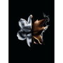 Givenchy L'Interdit Absolu Eau de Parfum 50 ml