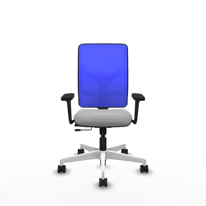 PIQUERAS Y CRESPO Silla de oficina Motilla con mecanismo Sincro/Traslack, Gris claro y Azul PIQUERAS Y CRESPO Silla de oficina Motilla con mecanismo Sincro/Traslack, Gris claro y Azul