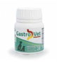 König Gastrovet 30 Comprimidos Protector Mucosa Gástrica